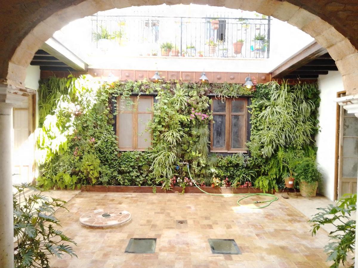 Ferienwohnung La Gota De Leche 2 Sanlúcar de Barrameda Exterior foto